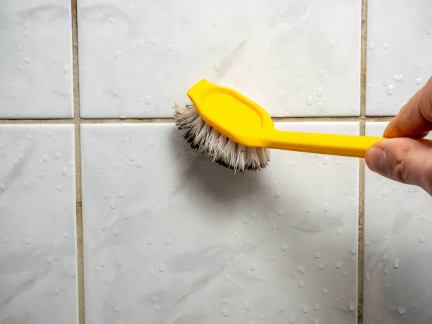 Best Black Mold Removal  in Paris, MO