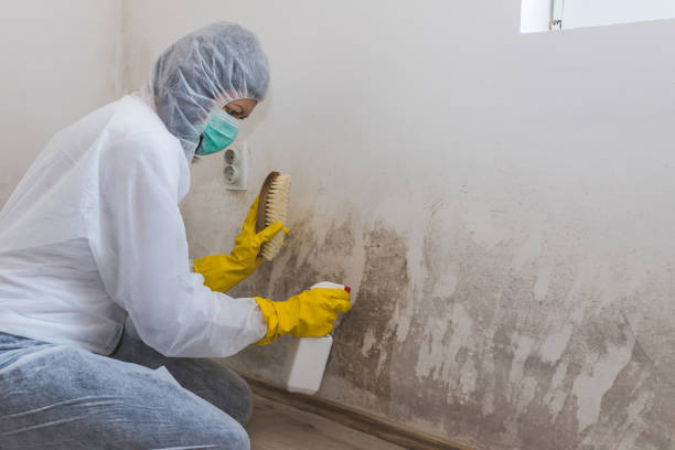Best Crawl Space Mold Removal  in Paris, MO